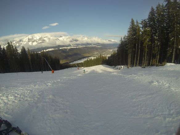 1513686_10203215756903426_265400731_n