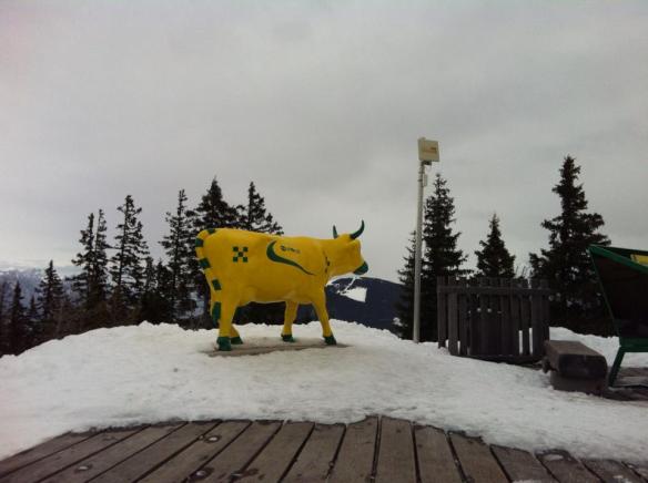 1888714_10203347700481134_120155707_n