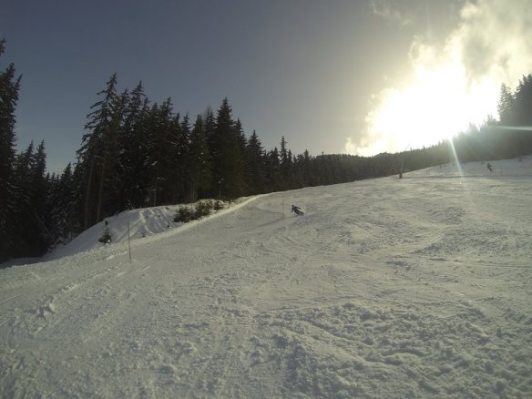 1948111_10203215614899876_248843489_n