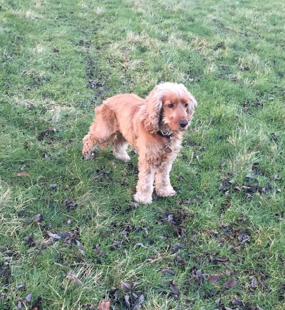 1510374_10206028973752089_1706542356261307437_n