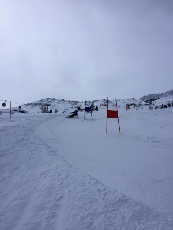 12744571_1019740798072193_101706120858951334_n